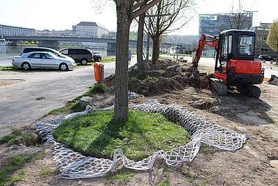 Bäume werden an der Linzer Donaulände mit dem Lite-Net Baumwurzelnetz verpflanzt.