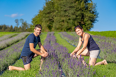 Michael und Theresa Falkinger aus Putzleinsdorf freuen sich über die erste Lavendelblüte 